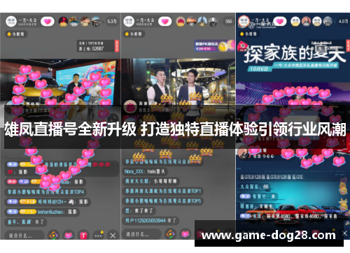 雄凤直播号全新升级 打造独特直播体验引领行业风潮