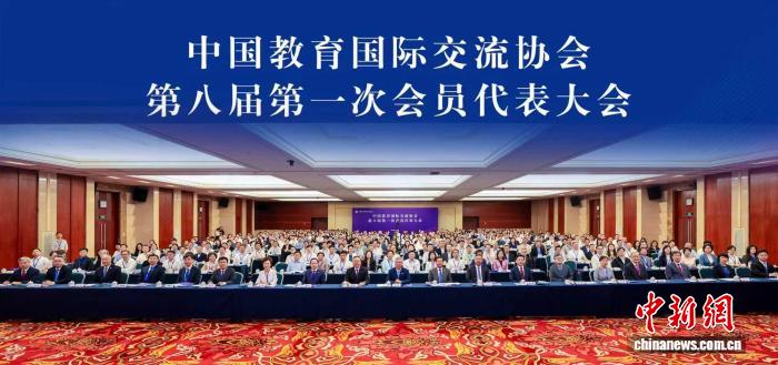 狗子28：您的专属数字娱乐伙伴 - 狗子28
